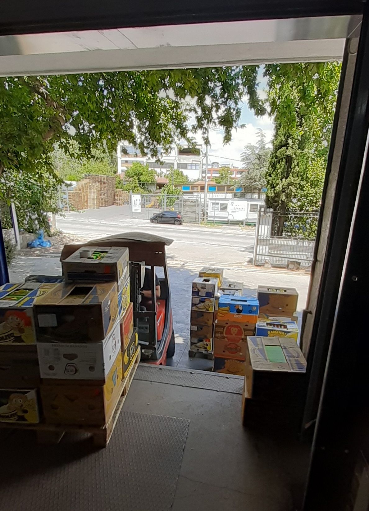 305329486_5972617196100742_6184033368992491450_n